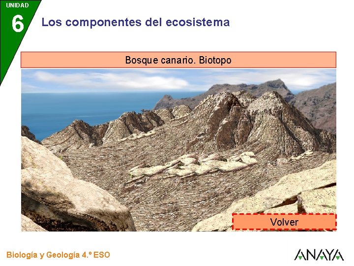 UNIDAD 6 Los componentes del ecosistema Bosque canario. Biotopo Volver Biología y Geología 4.