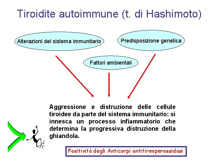 Tiroidite autoimmune (t. di Hashimoto) Alterazioni del sistema immunitario Predisposizione genetica Fattori ambientali Aggressione