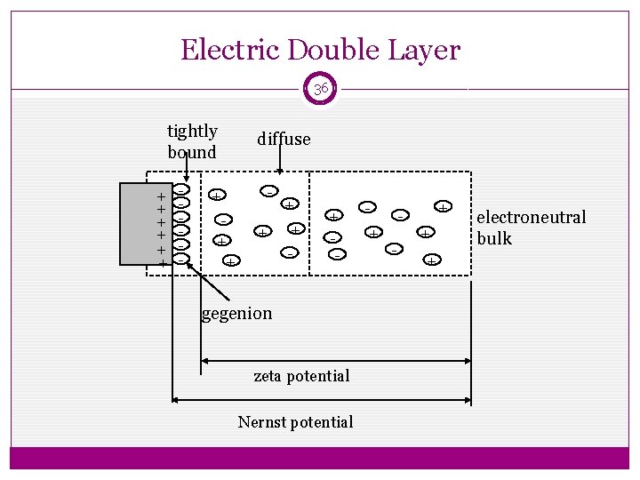 Electric Double Layer 36 tightly bound + + + - + + + diffuse