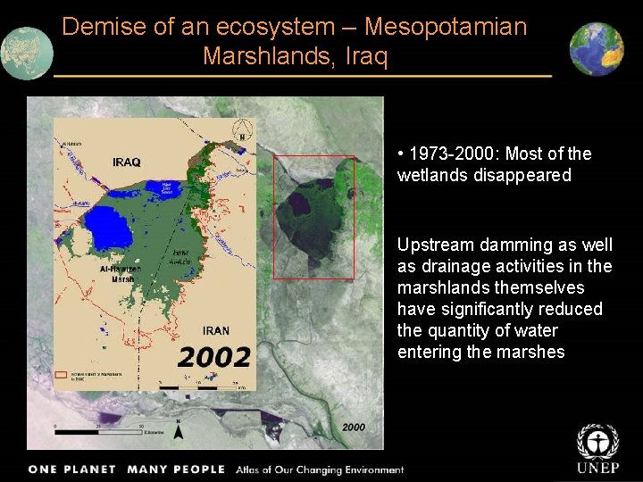 Demise of an ecosystem – Mesopotamian Marshlands, Iraq • 1973 -2000: Most of the