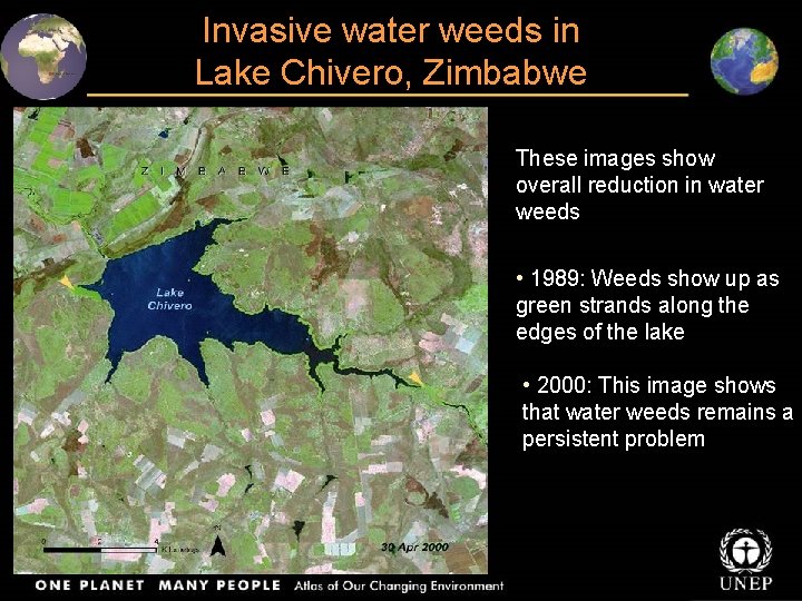 Invasive water weeds in Lake Chivero, Zimbabwe These images show overall reduction in water