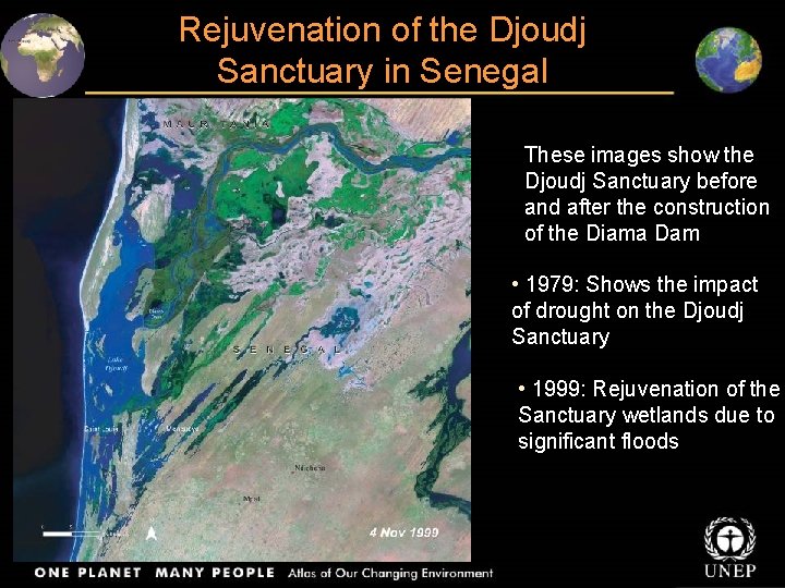 Rejuvenation of the Djoudj Sanctuary in Senegal These images show the Djoudj Sanctuary before