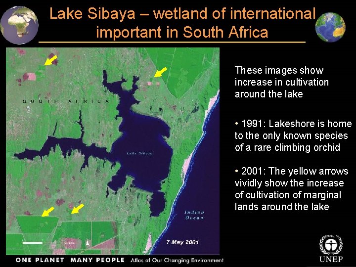 Lake Sibaya – wetland of international important in South Africa These images show increase