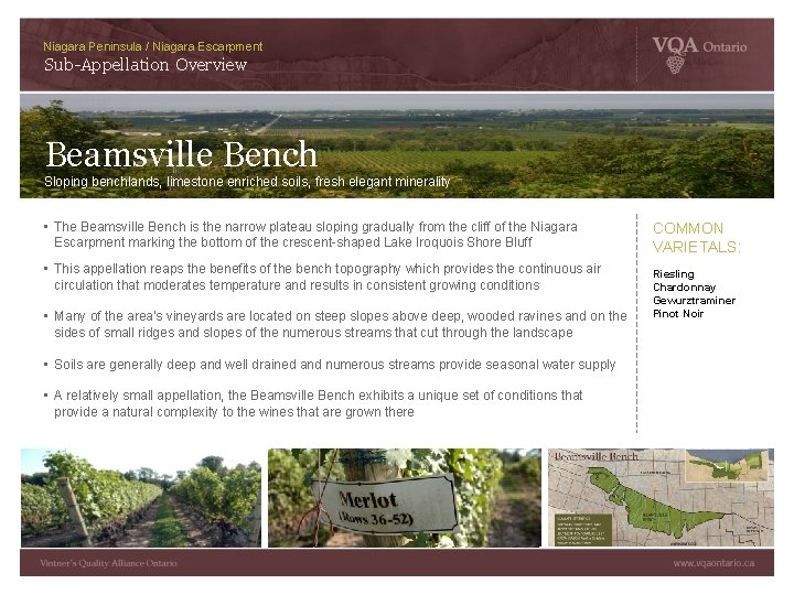Niagara Peninsula / Niagara Escarpment Sub-Appellation Overview Beamsville Bench Sloping benchlands, limestone enriched soils,