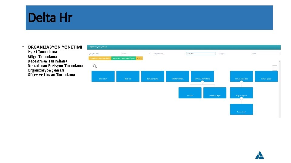 Delta Hr • ORGANİZASYON YÖNETİMİ İşyeri Tanımlama Bölge Tanımlama Departman Pozisyon Tanımlama Organizasyon Şeması