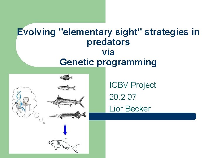 Evolving "elementary sight" strategies in predators via Genetic programming ICBV Project 20. 2. 07
