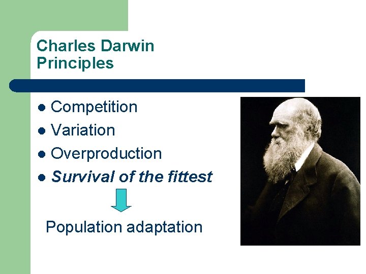 Charles Darwin Principles Competition l Variation l Overproduction l Survival of the fittest l