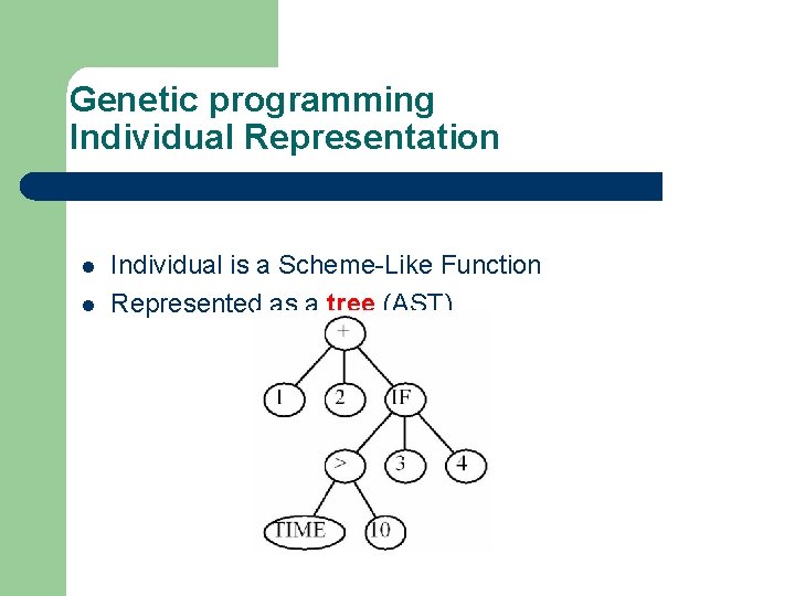 Genetic programming Individual Representation l l Individual is a Scheme-Like Function Represented as a