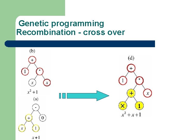 Genetic programming Recombination - cross over 