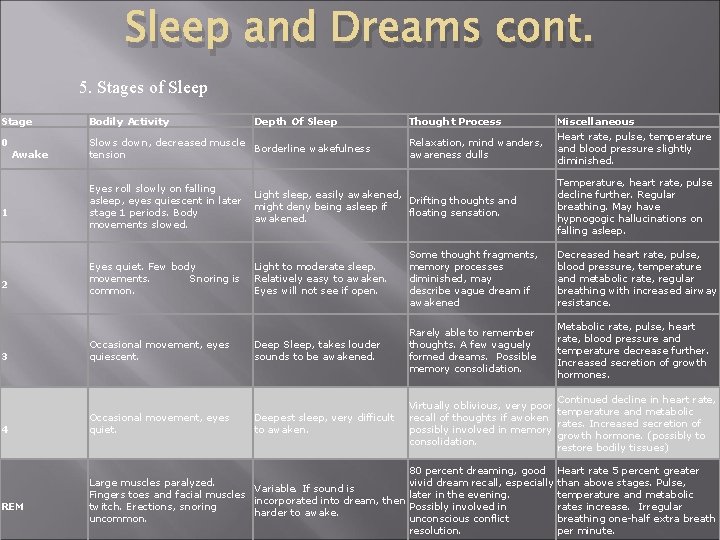 Sleep and Dreams cont. 5. Stages of Sleep Stage Bodily Activity 0 Slows down,