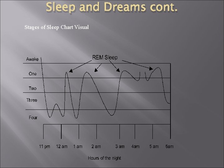 Sleep and Dreams cont. Stages of Sleep Chart Visual 