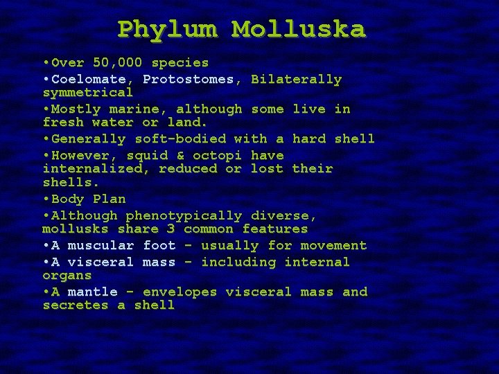 Phylum Molluska • Over 50, 000 species • Coelomate, Protostomes, Bilaterally symmetrical • Mostly