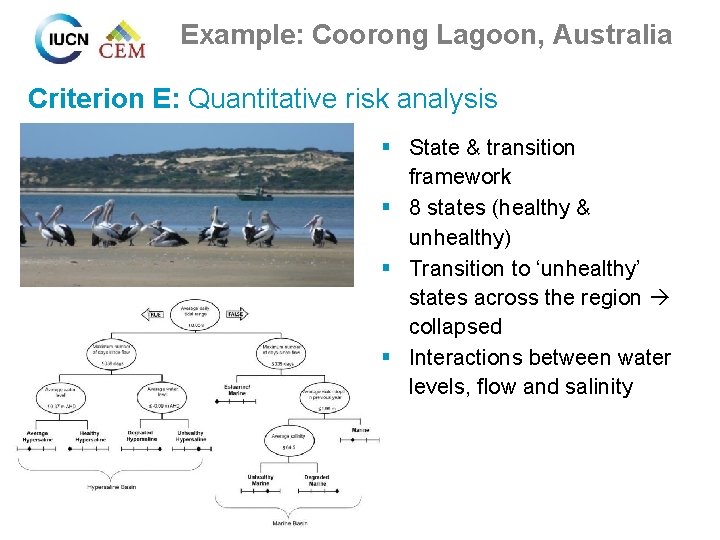 Example: Coorong Lagoon, Australia Criterion E: Quantitative risk analysis § State & transition framework