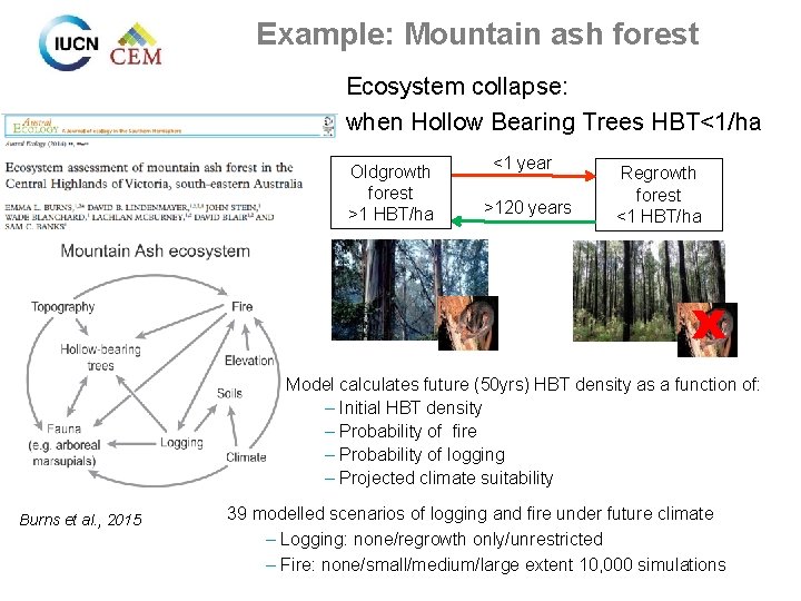 Example: Mountain ash forest Ecosystem collapse: when Hollow Bearing Trees HBT<1/ha Oldgrowth forest >1