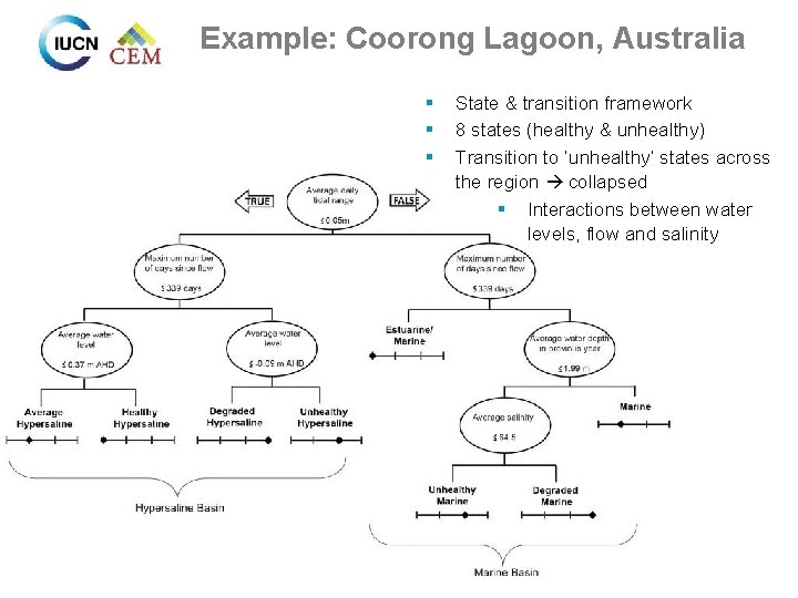 Example: Coorong Lagoon, Australia § § § State & transition framework 8 states (healthy