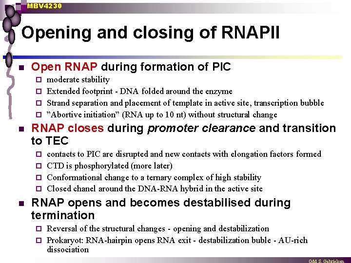 MBV 4230 Opening and closing of RNAPII n Open RNAP during formation of PIC