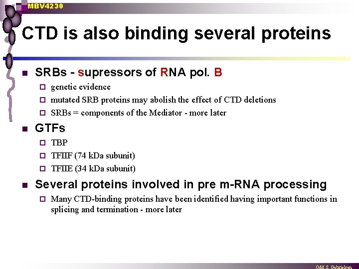 MBV 4230 CTD is also binding several proteins n SRBs - supressors of RNA
