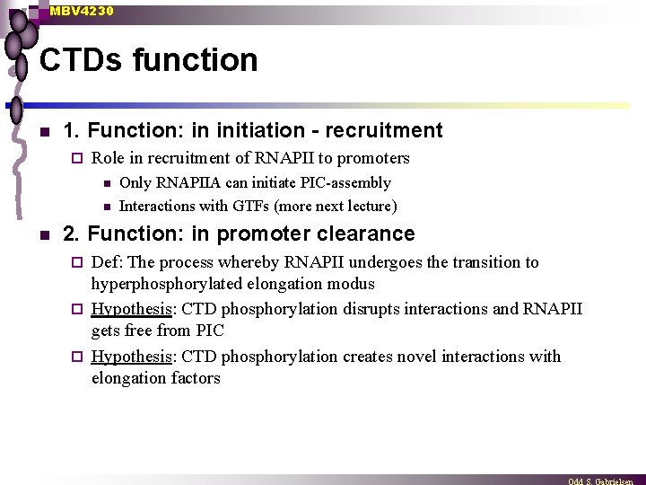 MBV 4230 CTDs function n 1. Function: in initiation - recruitment ¨ Role in