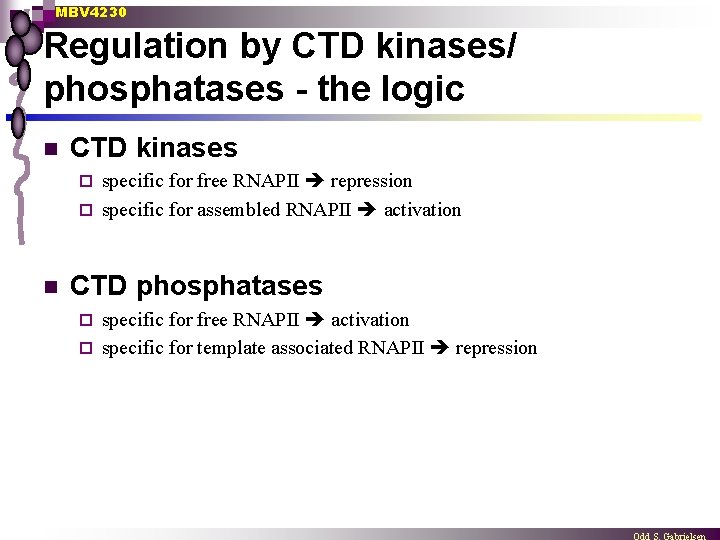 MBV 4230 Regulation by CTD kinases/ phosphatases - the logic n CTD kinases specific