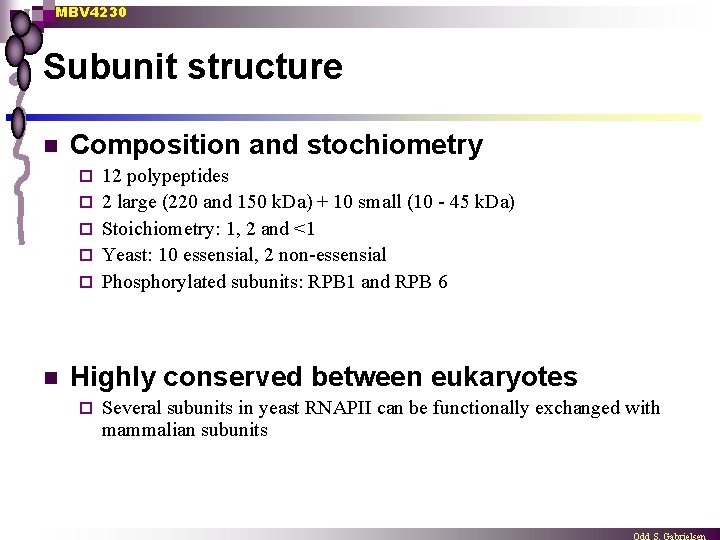 MBV 4230 Subunit structure n Composition and stochiometry ¨ ¨ ¨ n 12 polypeptides