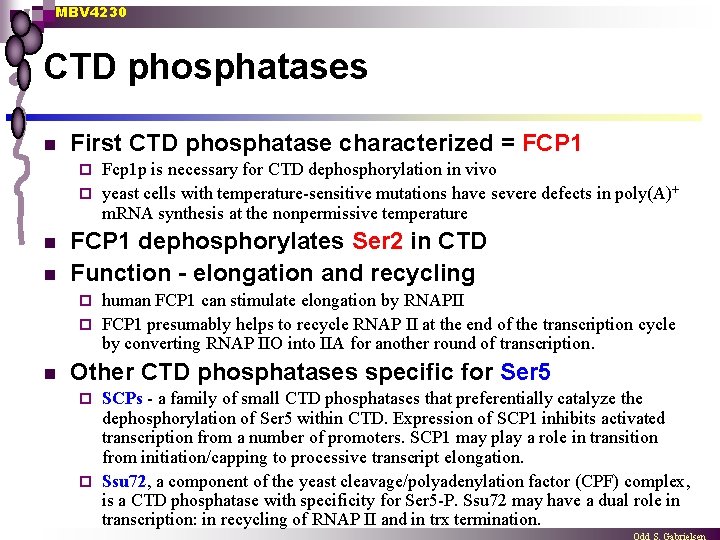 MBV 4230 CTD phosphatases n First CTD phosphatase characterized = FCP 1 Fcp 1