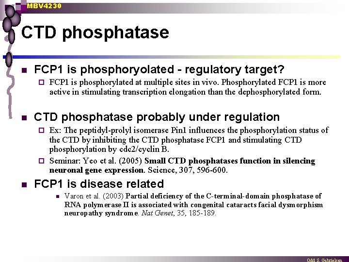 MBV 4230 CTD phosphatase n FCP 1 is phosphoryolated - regulatory target? ¨ n
