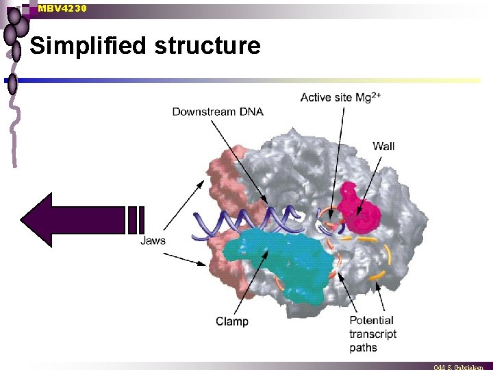 MBV 4230 Simplified structure 