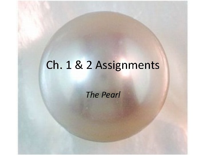 Ch. 1 & 2 Assignments The Pearl 