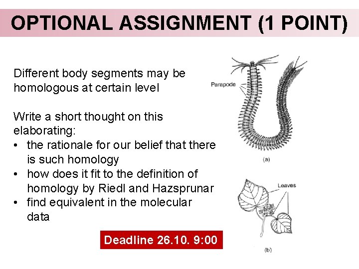 OPTIONAL ASSIGNMENT (1 POINT) Different body segments may be homologous at certain level Write