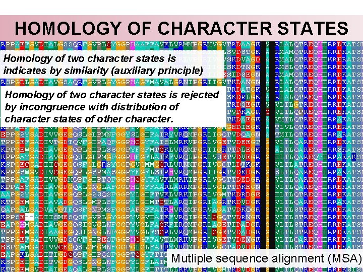HOMOLOGY OF CHARACTER STATES Homology of two character states is indicates by similarity (auxiliary