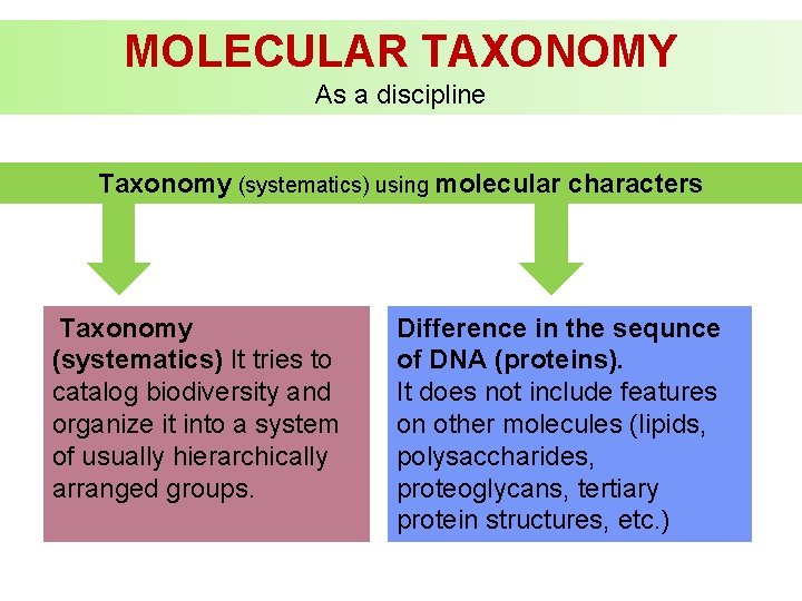 MOLECULAR TAXONOMY As a discipline Taxonomy (systematics) using molecular characters Taxonomy (systematics) It tries