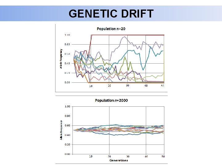 GENETIC DRIFT 