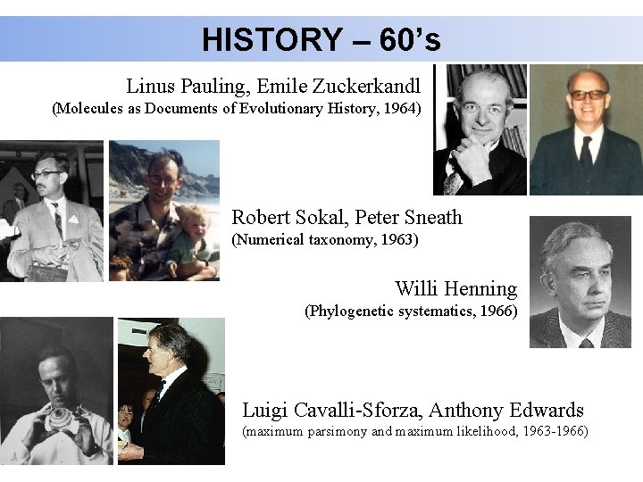 HISTORY – 60’s Linus Pauling, Emile Zuckerkandl (Molecules as Documents of Evolutionary History, 1964)