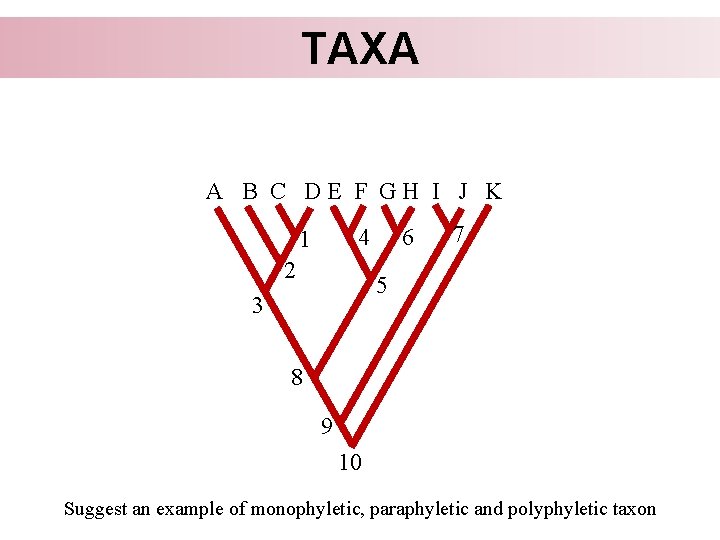 TAXA A B C DE F GH I J K 6 4 1 2