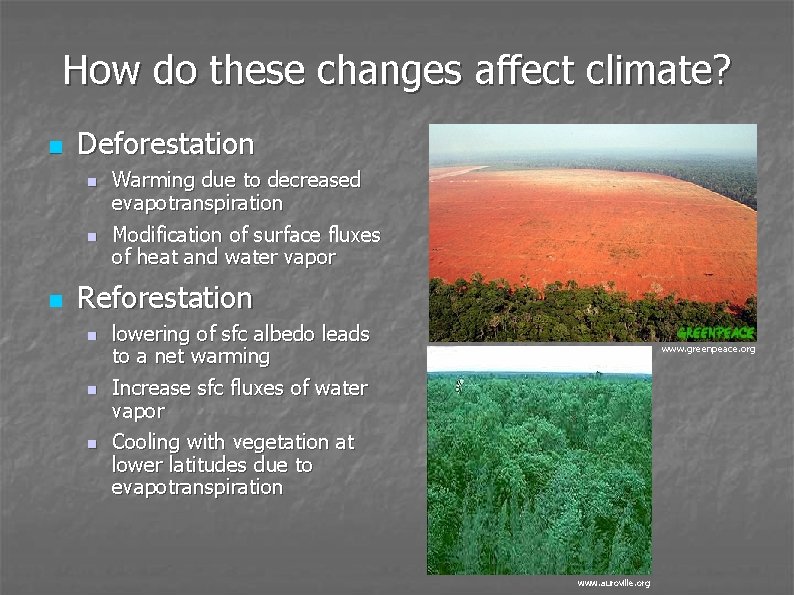 How do these changes affect climate? n Deforestation n Warming due to decreased evapotranspiration