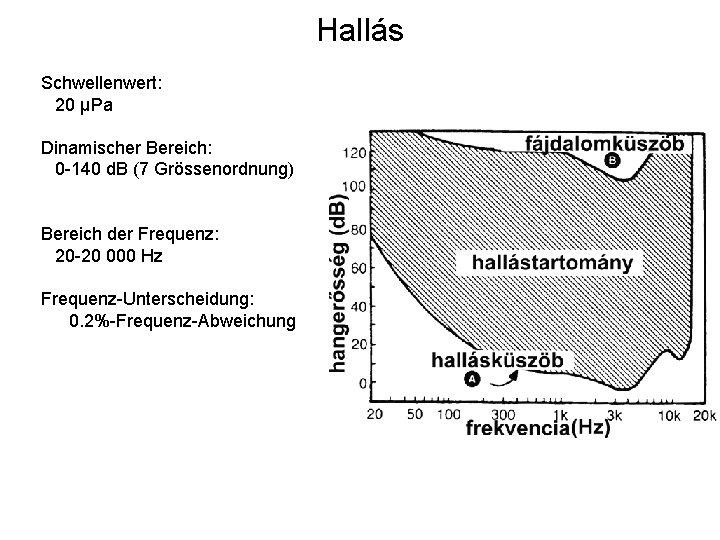 Hallás Schwellenwert: 20 μPa Dinamischer Bereich: 0 -140 d. B (7 Grössenordnung) Bereich der