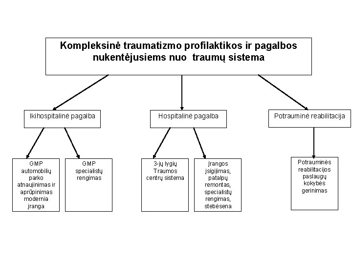 Kompleksinė traumatizmo profilaktikos ir pagalbos nukentėjusiems nuo traumų sistema Ikihospitalinė pagalba GMP automobilių parko