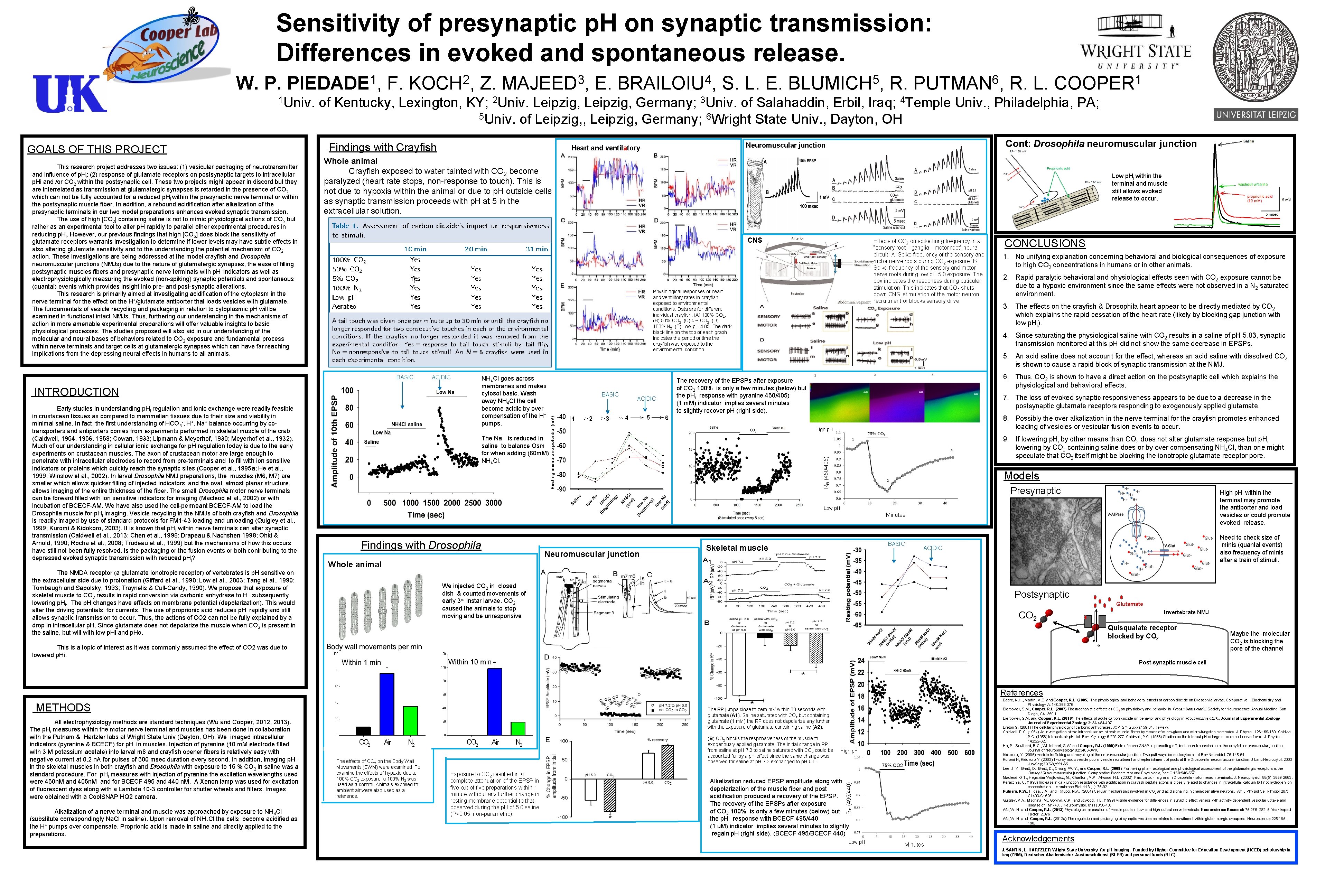 Sensitivity of presynaptic p. H on synaptic transmission: Differences in evoked and spontaneous release.