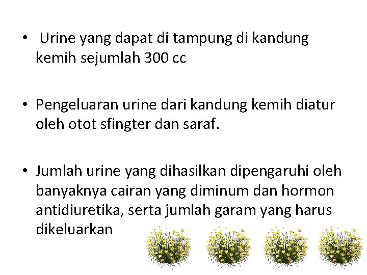  • Urine yang dapat di tampung di kandung kemih sejumlah 300 cc •