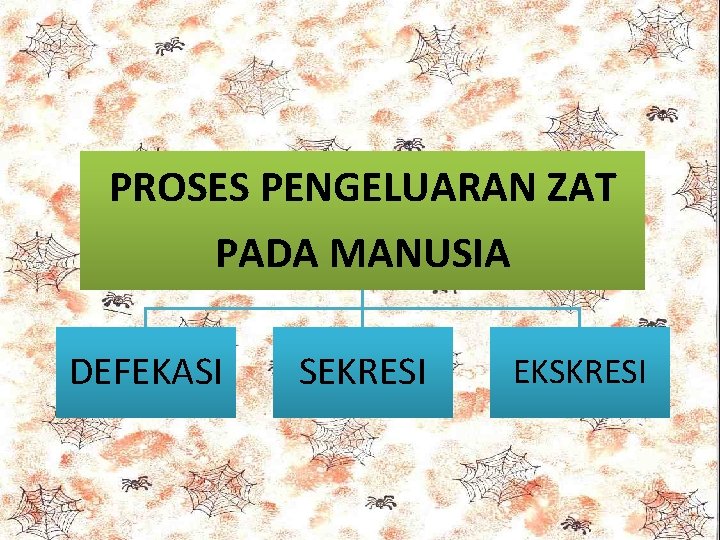 PROSES PENGELUARAN ZAT PADA MANUSIA DEFEKASI SEKRESI EKSKRESI 