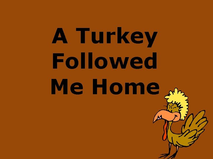 A Turkey Followed Me Home 