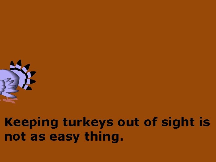 Keeping turkeys out of sight is not as easy thing. 