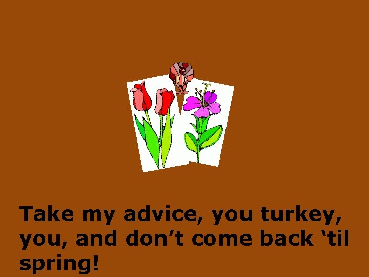 Take my advice, you turkey, you, and don’t come back ‘til spring! 