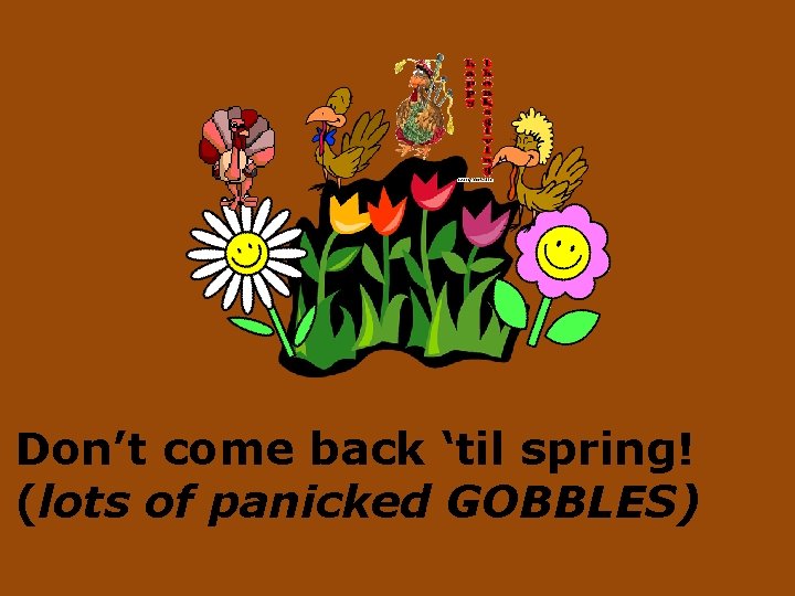 Don’t come back ‘til spring! (lots of panicked GOBBLES) 