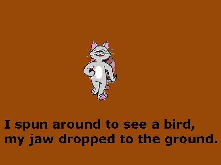 I spun around to see a bird, my jaw dropped to the ground. 