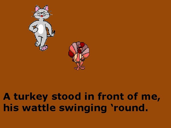 A turkey stood in front of me, his wattle swinging ‘round. 