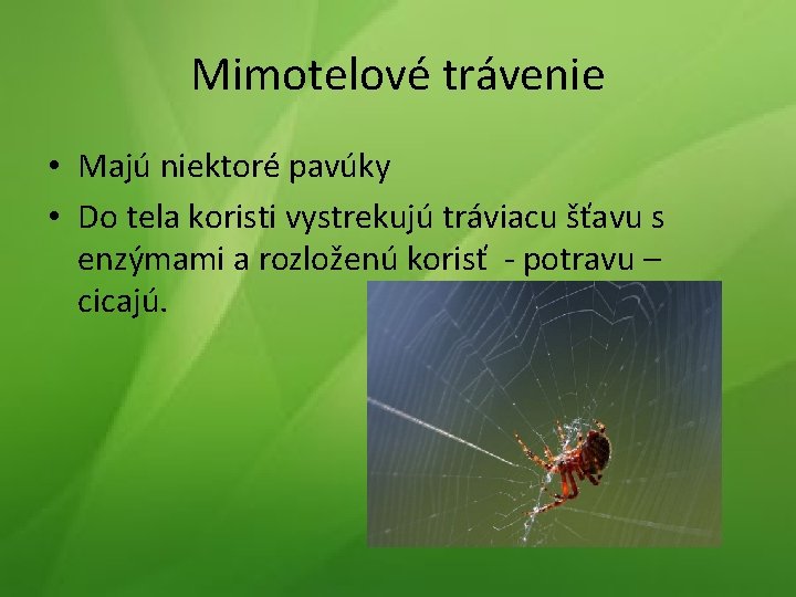 Mimotelové trávenie • Majú niektoré pavúky • Do tela koristi vystrekujú tráviacu šťavu s