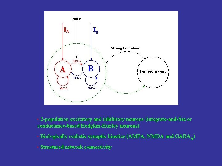 2 -population excitatory and inhibitory neurons (integrate-and-fire or conductance-based Hodgkin-Huxley neurons) • • Biologically