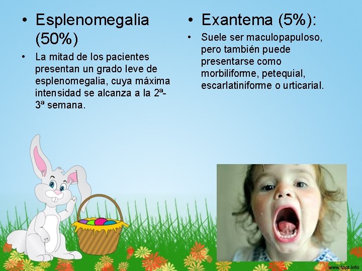  • Esplenomegalia (50%) • La mitad de los pacientes presentan un grado leve