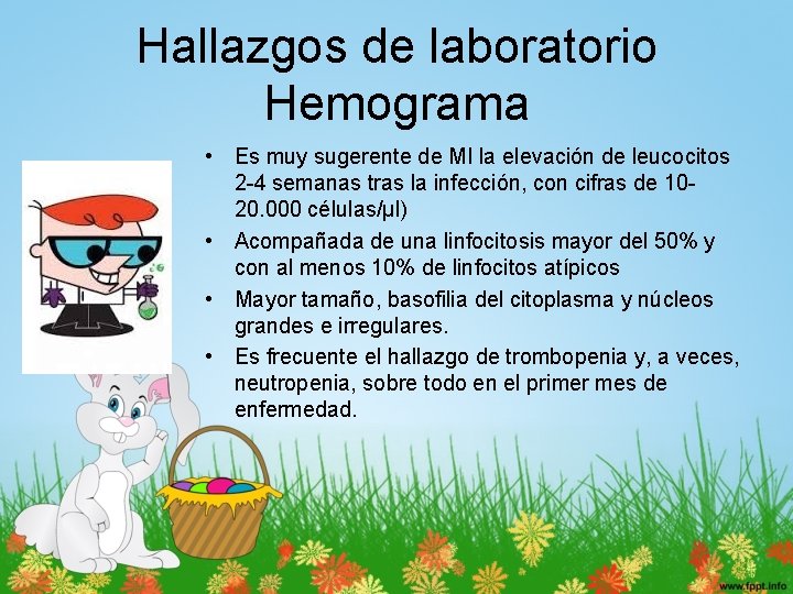 Hallazgos de laboratorio Hemograma • Es muy sugerente de MI la elevación de leucocitos